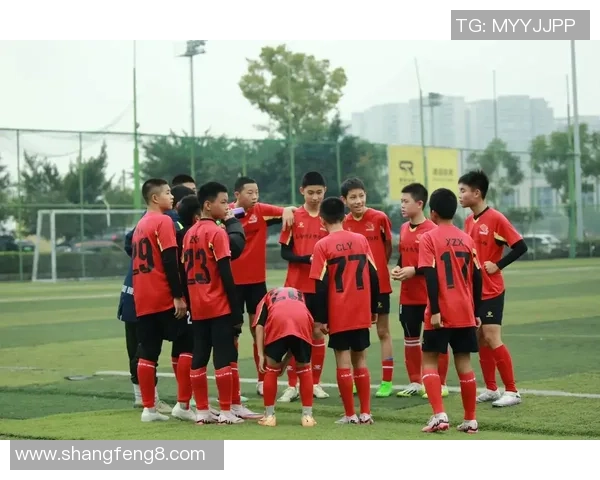 足球赛的激情瞬间与球场上的梦想交织成的美丽画卷