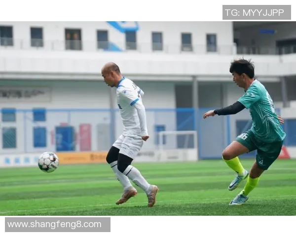 足球斗球激战正酣球迷热情高涨赛事精彩纷呈引爆全场热血沸腾