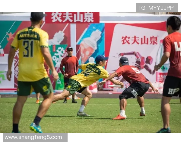 飞盘战术解析：深圳飞盘队如何构建高效节奏体系与比赛策略