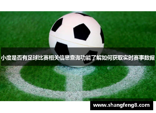 小度是否有足球比赛相关信息查询功能了解如何获取实时赛事数据