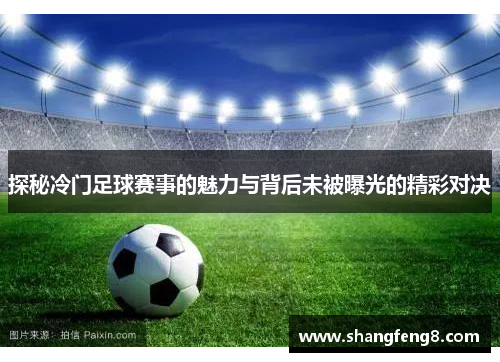 探秘冷门足球赛事的魅力与背后未被曝光的精彩对决