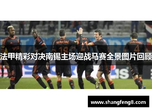 法甲精彩对决南锡主场迎战马赛全景图片回顾