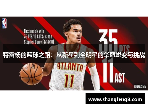 特雷杨的篮球之路：从新星到全明星的华丽蜕变与挑战
